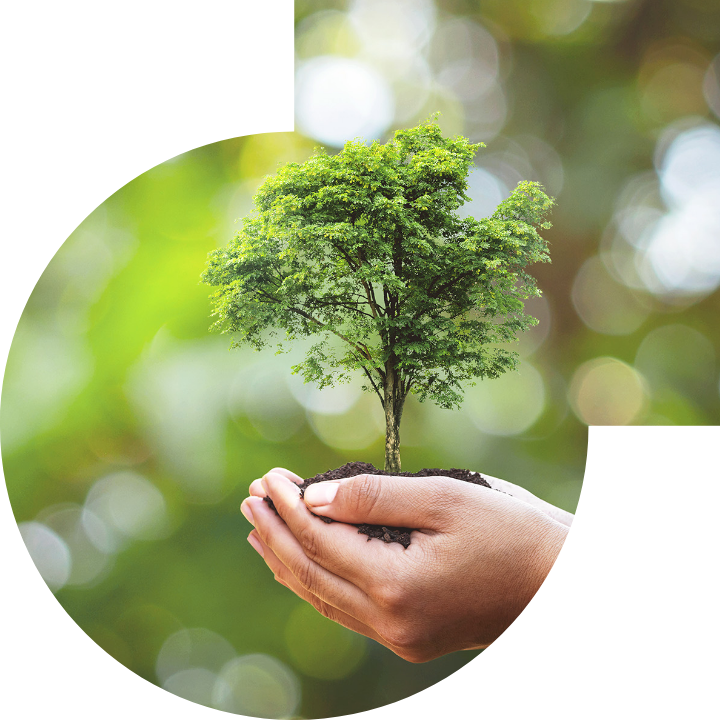 關懷人類、文化、環境與社會